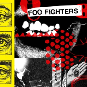 Foo Fighters - Your Favorite Toy 1LP Vinyl